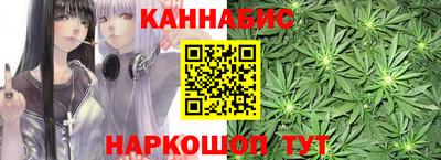 крисы Краснознаменск