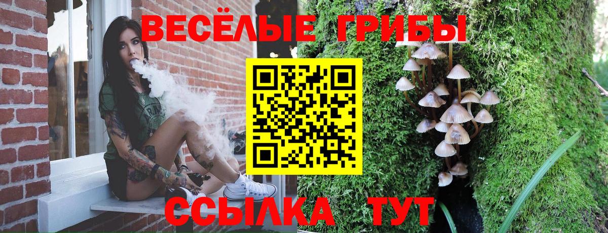 Галлюциногенные грибы GOLDEN TEACHER  Псилоцибиновые грибы мухоморы  Звенигород  Вход с VPN 