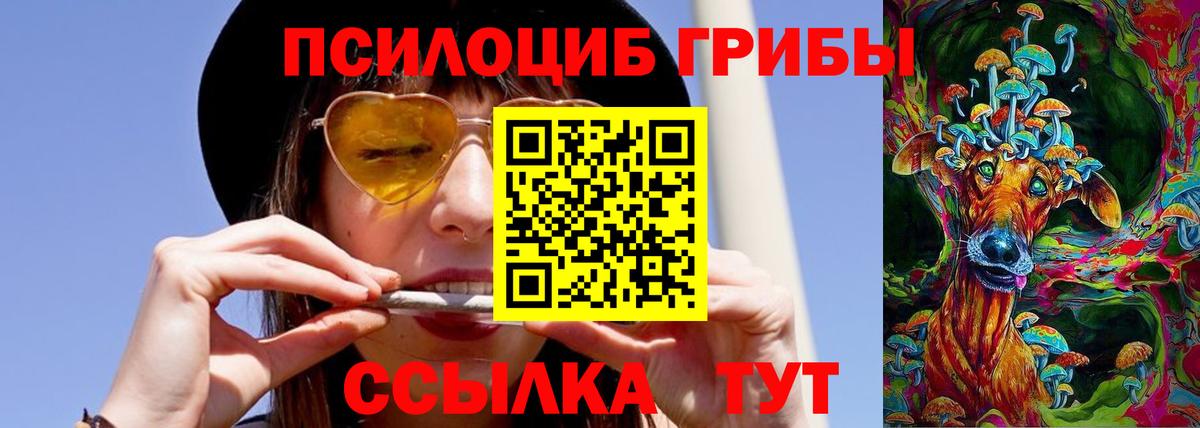 Псилоцибиновые грибы MAGIC MUSHROOMS Звенигород